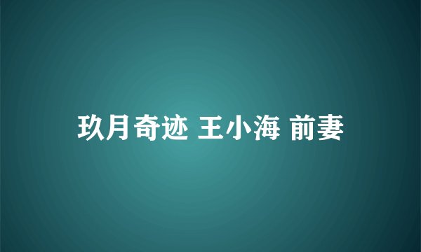 玖月奇迹 王小海 前妻