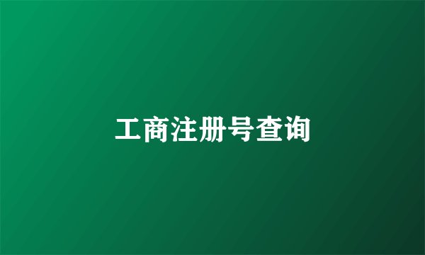 工商注册号查询