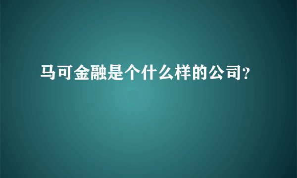 马可金融是个什么样的公司？