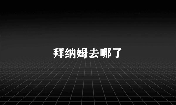 拜纳姆去哪了