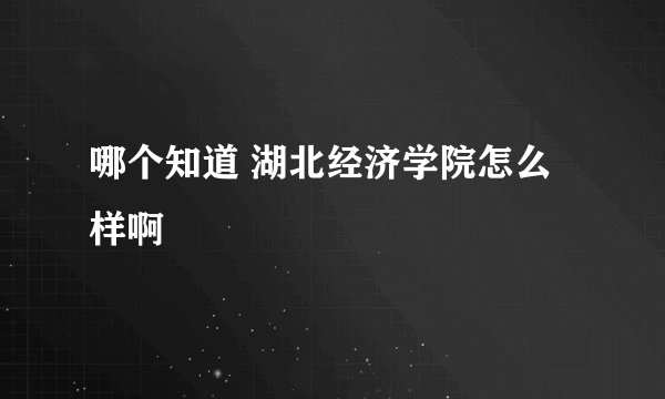 哪个知道 湖北经济学院怎么样啊