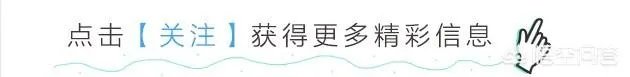 爱情从告白开始的不是吗?