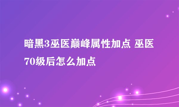 暗黑3巫医巅峰属性加点 巫医70级后怎么加点