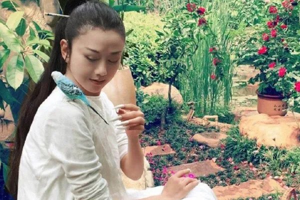 杨丽萍不生孩子,真的有错吗?
