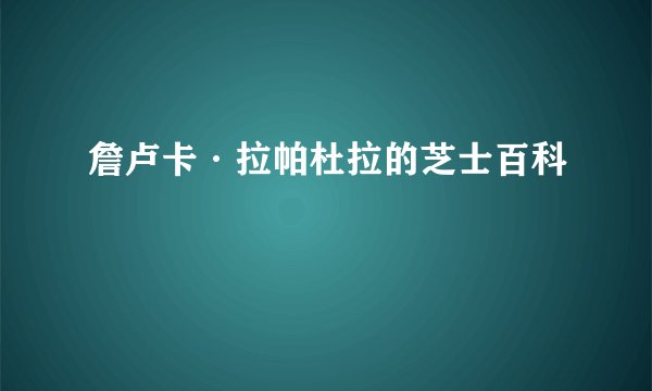 詹卢卡·拉帕杜拉的芝士百科