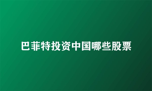 巴菲特投资中国哪些股票