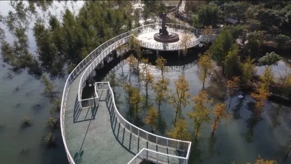 三峡库区再现水中森林,它是如何形成的?