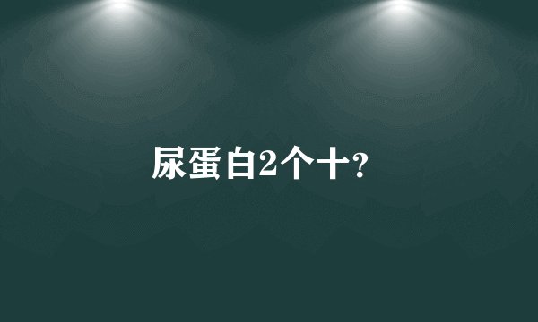 尿蛋白2个十？