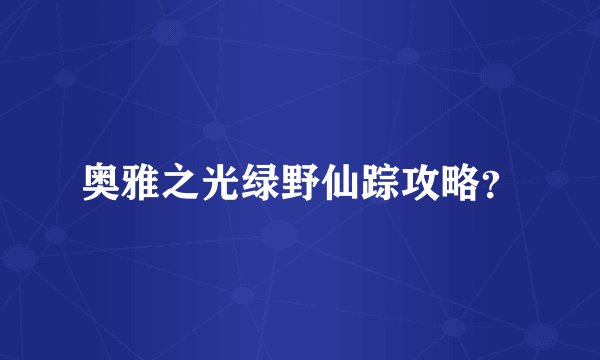 奥雅之光绿野仙踪攻略？
