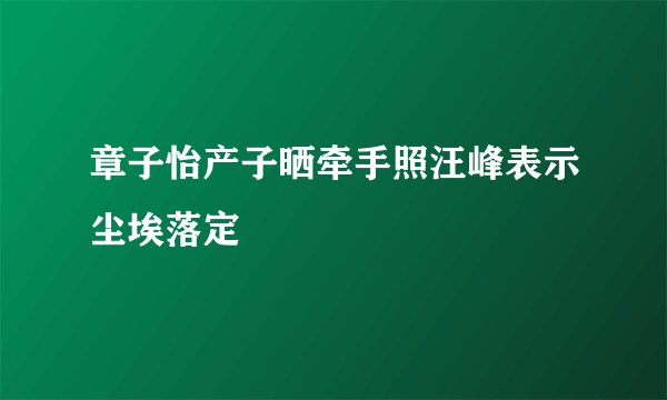 章子怡产子晒牵手照汪峰表示尘埃落定
