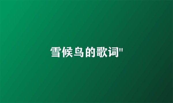 雪候鸟的歌词