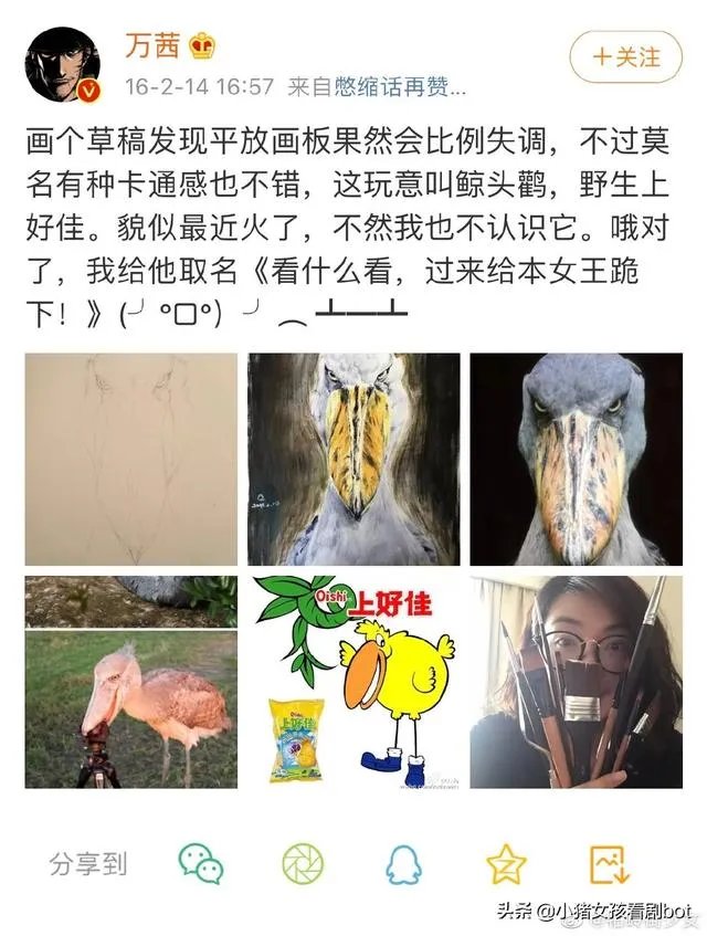 《乘风破浪的姐姐里面,为什么万茜那么受女明星的欢迎?