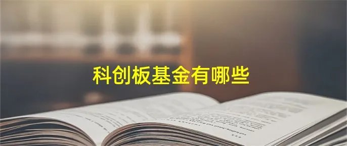 科创板基金有哪些