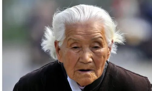 若我白发苍苍 容颜迟暮全下句是什么