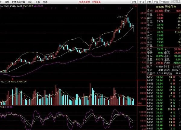 请人帮我分析一下天喻信息(300205)这只股票,要详细的。谢谢了