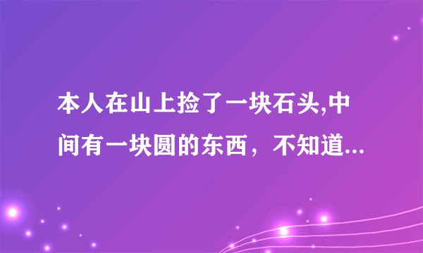 本人在山上捡了一块石头,中间有一块圆的东西，不知道是什么东西有人
