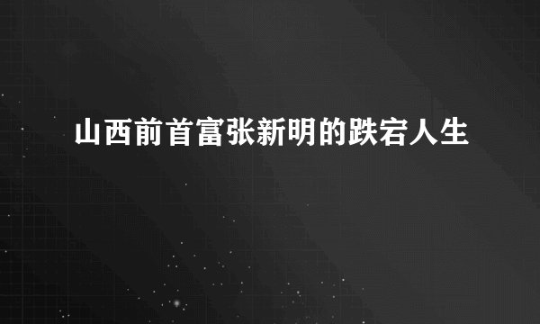 山西前首富张新明的跌宕人生