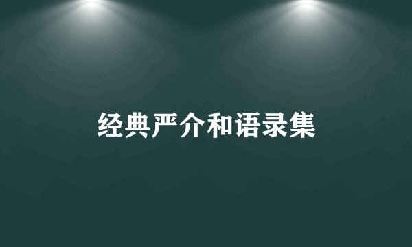 经典严介和语录集