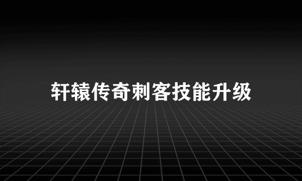 轩辕传奇刺客技能升级