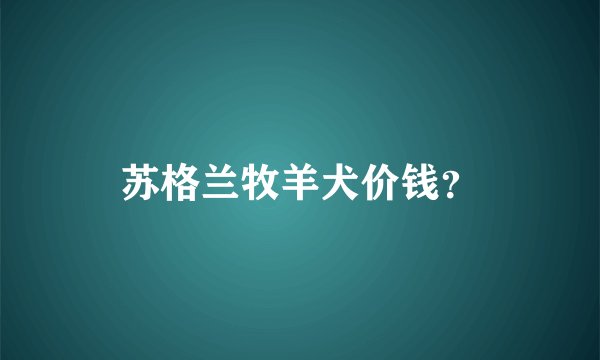 苏格兰牧羊犬价钱?