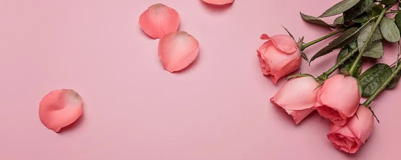 1至100朵玫瑰花各代表什么意思