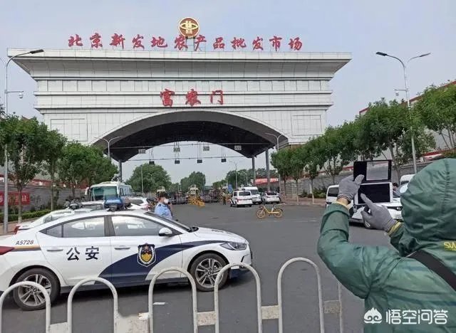 三文鱼是怎么感染病毒的?