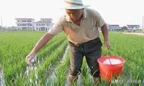 网购农产品和当地市场买有啥区别?