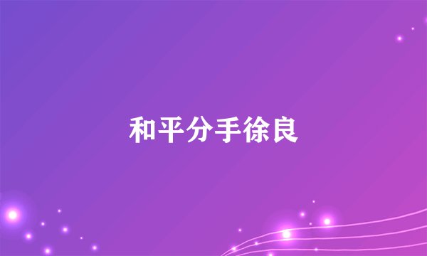 和平分手徐良