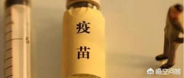 长生生物两疫苗“爆”掉百亿市值,这次疫苗事件后长生生物会倒闭吗?