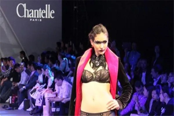 内衣十大一线品牌排行,Chantelle以蕾丝设计闻名全球