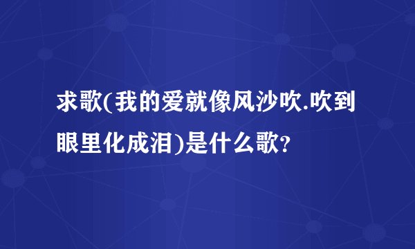 求歌(我的爱就像风沙吹.吹到眼里化成泪)是什么歌？