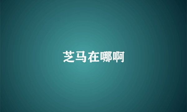 芝马在哪啊