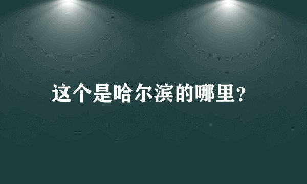 这个是哈尔滨的哪里？