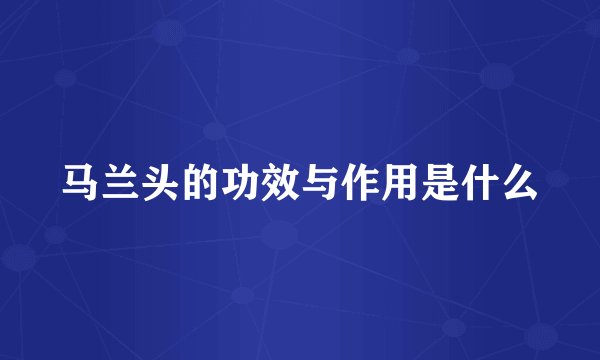 马兰头的功效与作用是什么
