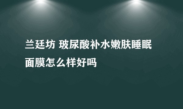 兰廷坊 玻尿酸补水嫩肤睡眠面膜怎么样好吗