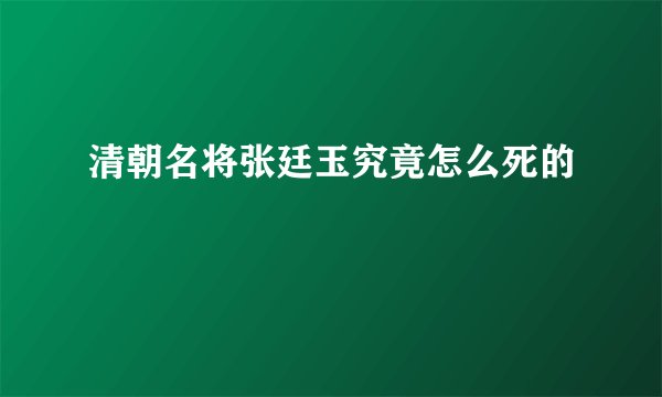 清朝名将张廷玉究竟怎么死的