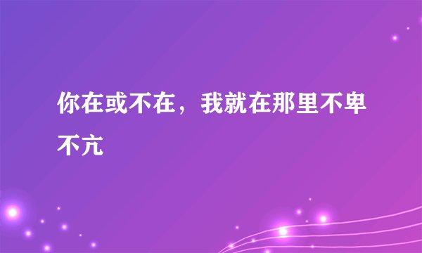 你在或不在，我就在那里不卑不亢