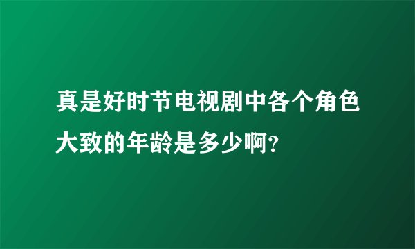 真是好时节电视剧中各个角色大致的年龄是多少啊？