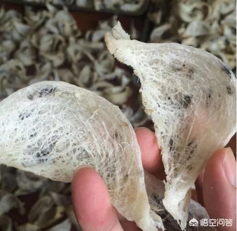 什么牌子的燕窝比较好?值得推荐的燕窝品牌有哪些?