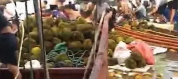 哄抢榴莲村民食物中毒,榴莲是如何散落的?