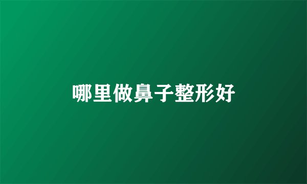 哪里做鼻子整形好