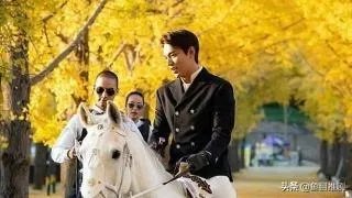 最新韩剧李敏镐金高银的《The King:永远的君主》你会看吗?