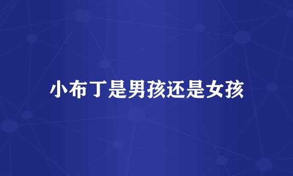 小布丁是男孩还是女孩