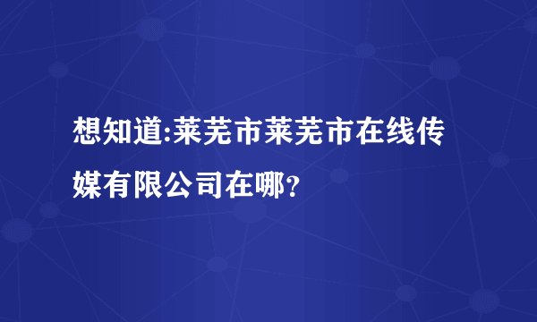 想知道:莱芜市莱芜市在线传媒有限公司在哪？