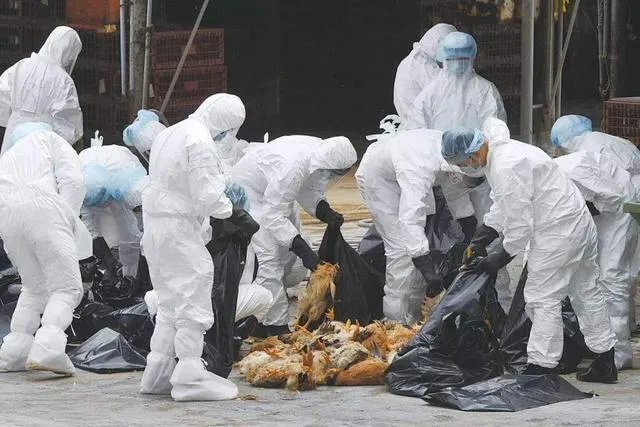 美国确诊病例超3198万例,死亡超57.1万例,为什么会这么严重?