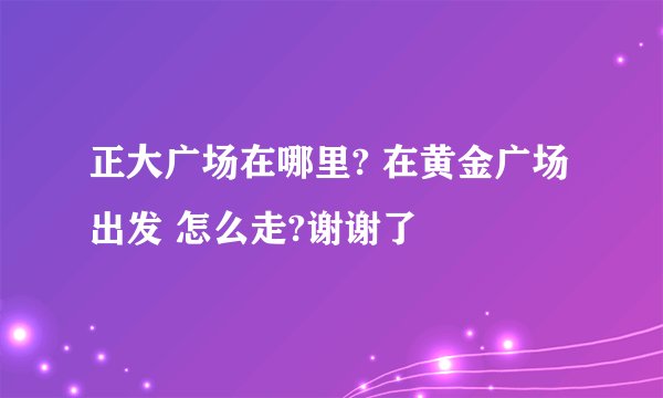 正大广场在哪里? 在黄金广场出发 怎么走?谢谢了