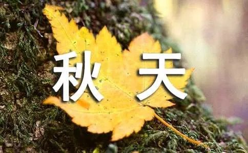 表示秋天的成语