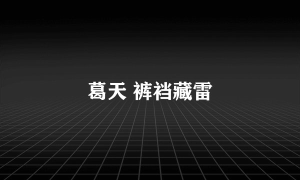 葛天 裤裆藏雷