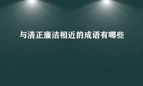 与清正廉洁相近的成语有哪些