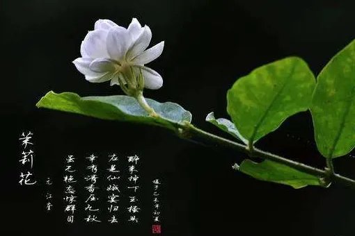 好听的中国民谣